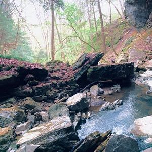 Meet your Posher, Chad